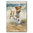 thumbnail image 3 of Funny Dog on Beach Canvas Wall Art, Wire Fox Terrier Dog Picture Ocean Artwork for Bathroom Bedroom Living Room, Art Decor 8x12 Inches, 3 of 6