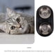 thumbnail image 3 of Plato de comida de acero inoxidable para mascotas, gato, gatito, perro, antideslizante, desmontable, 3 of 5