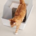 thumbnail image 2 of Cubby Litter Box, 2 of 8