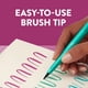 thumbnail image 5 of NEWELL BRANDS PM FLAIR DUO BRUSH 16PZ, 5 of 8