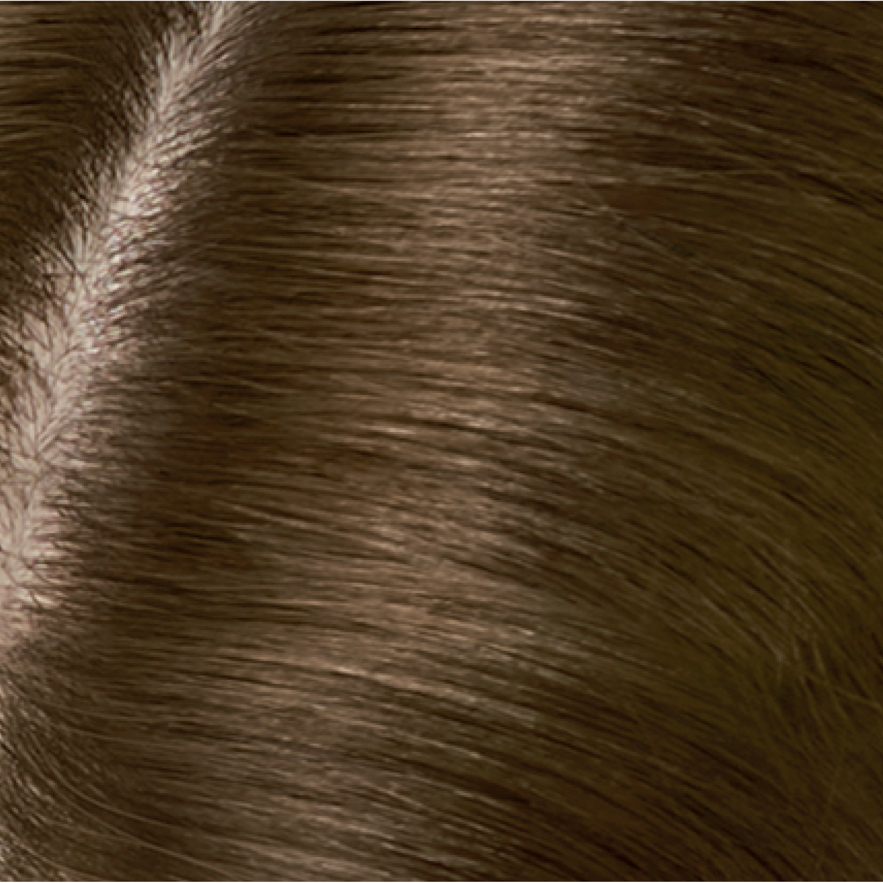 5 Medium Brown