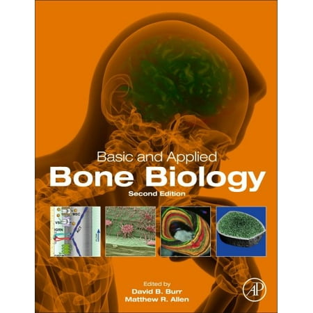 Basic And Applied Bone Biology Walmart Com