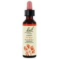 thumbnail image 2 of Bach - Bach Original Flower Remedy Dropper Aspen Flower Essence - 20 ml., 2 of 6