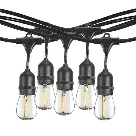 Bulbrite 862819 30 ft. String Light Kit with Clear Shatter Resistant Vintage Style S14 LED Light Bulbs