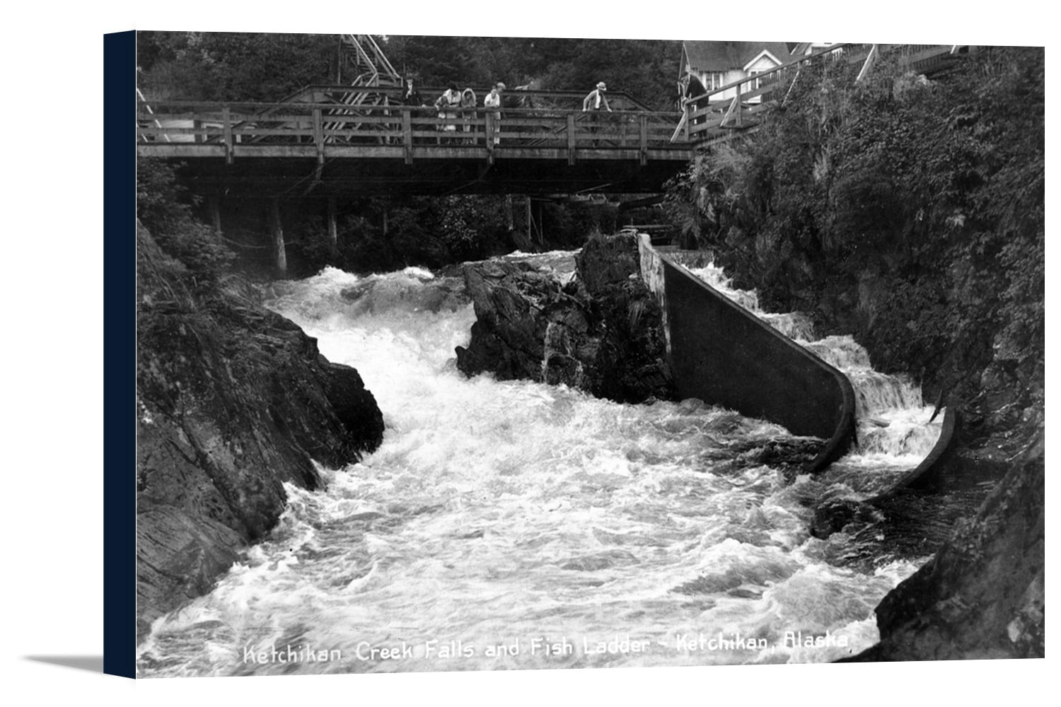 Ketchikan, Alaska Ketchikan Creek Falls, Fish Ladder Photo (18x10.5