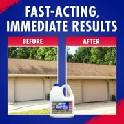 30 SECONDS Outdoor Multi-Surface Cleaner Concentrate - Cleans Stains from Mildew, Mold & Algae, 1G