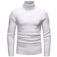 thumbnail image 1 of EGNMCR Pull Col Roulé pour Hommes, Pulls pour Hommes Homme Couleur Unie Pull Ras du Cou Homme blouse en Polyester, 1 of 2