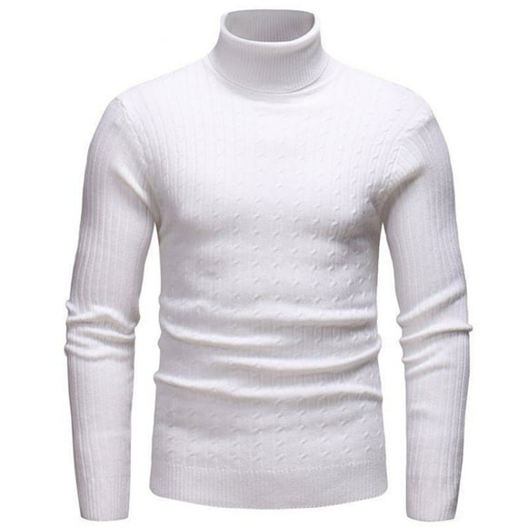 Men's Solid Knit Turtleneck