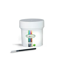 Single Stage 1oz with Brush SZ Blue Flame Metallic Ford 2001-2016