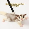 thumbnail image 7 of GYTY   Sugar Gliders Harness Leash Set - 3 Pcs Training Walking Gear Small Animal Adjustable Traction Ropes Vest for Squirrels Hamsters Rats Gerbils Reptiles Bearded Dragon Lizards Black, 7 of 7