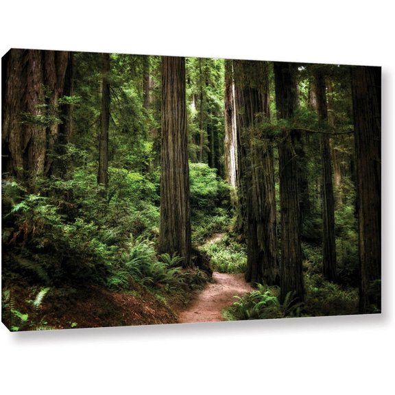 ArtWall Kevin Calkins "Enchanted Path" Gallery-Wrapped Canvas