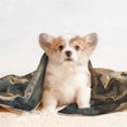 thumbnail image 4 of Disketp Ancient Skull Cave Landscape Dog Blanket/Bed Cover for Dogs and Cats,Puppy Essentials-Small, 4 of 8