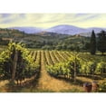 thumbnail image 3 of Swanson, Michael 18x15 Black Modern Framed Museum Art Print Titled - Tuscany Vines, 3 of 5