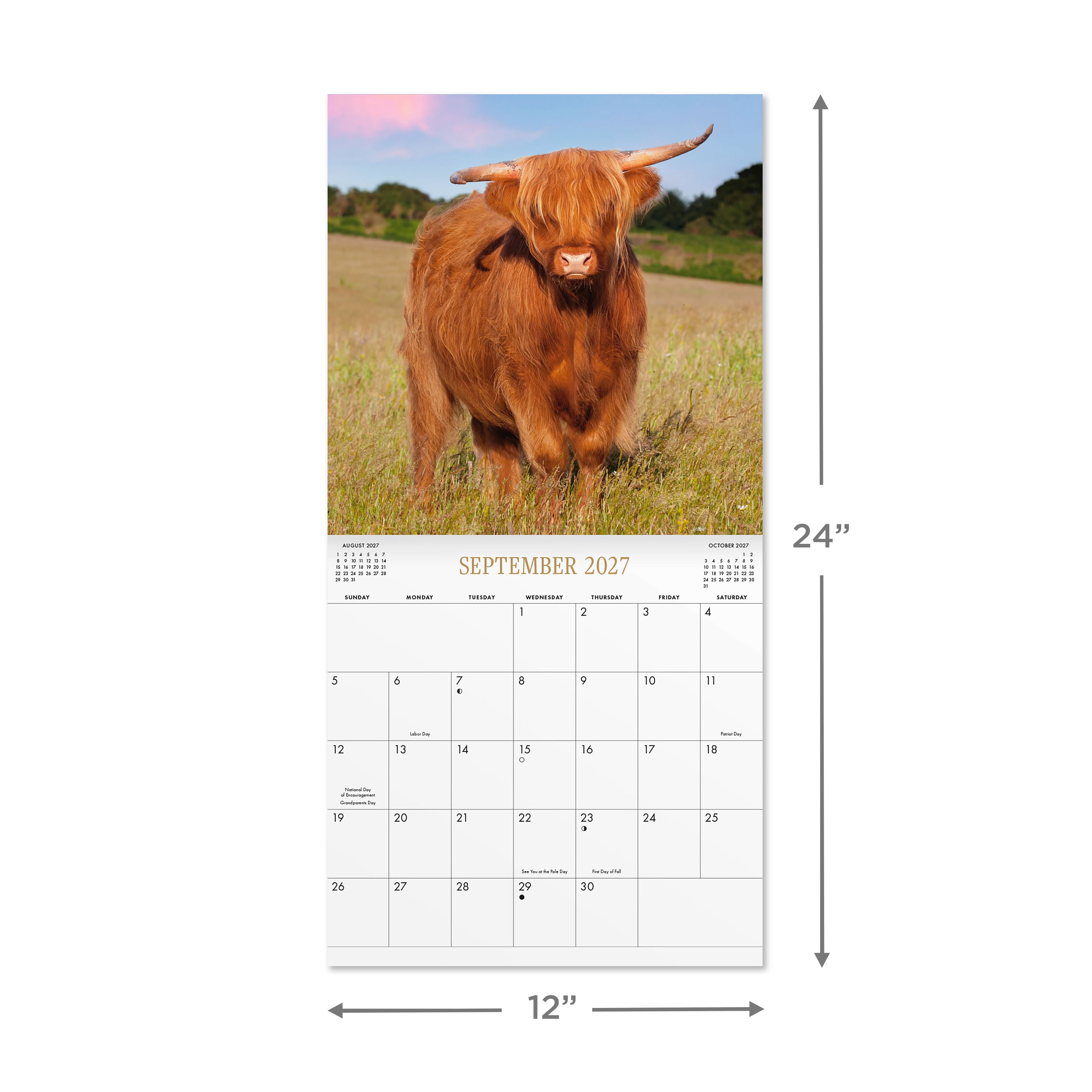 2027 Highland Cows Wall Calendar 12x12 January-December Gridded