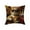 I, variant on JoyMoreHome Cute Funny Cat Pattern Throw Pillow Cover with Hidden Zipper, 18x18 Inch Soft Durable Pillowcase for Livingroom, Sofa, Bedroom, Office