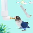 thumbnail image 1 of Comedero para pájaros Colco Automático de agua potable para periquitos, 1 of 8