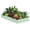 Round 2*2*1FT Dark Gray 2-pack, variant on Raised Garden Bed with Metal Frame – Ample Growing Space for Vegetables Flowers Herbs, Durable Powder-Coated Galvanized Steel