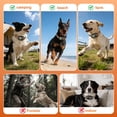 thumbnail image 5 of Wireless Dog Fence System  Electric Dog Fence Using Electric Satellite Technology   Rechargeable Design  Dog Collar has Modes Circular and -Form Fence, 5 of 7