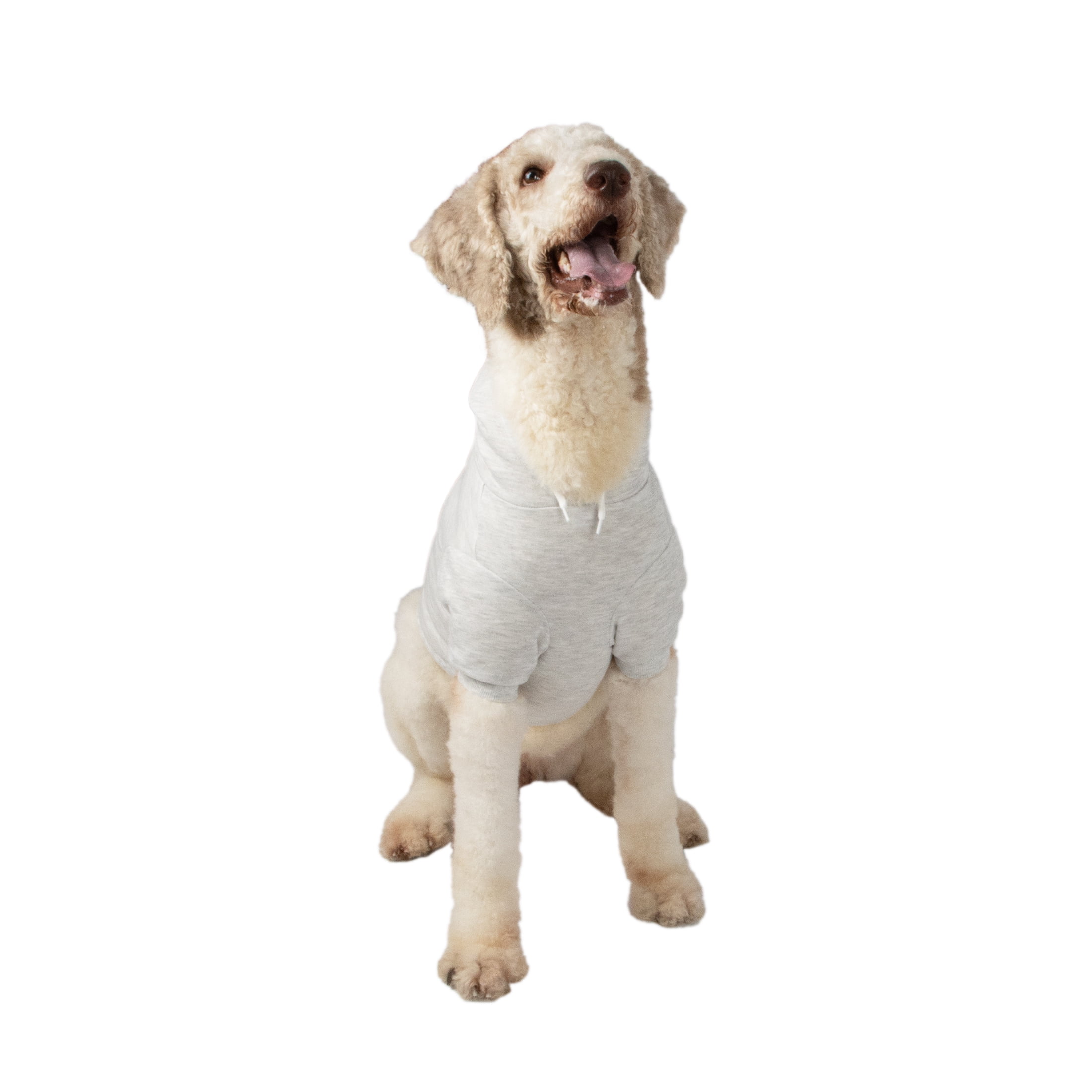 Oodles Lightning Bolt Bubble Hem Fall Dog Hoodie, White, Small