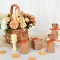 thumbnail image 3 of TONIFUL 3/8 Inch x 100yds Orange Satin Ribbon Thin Solid Fabric Ribbons Roll for Gift Wrapping Invitation Floral Hair Balloons Craft Sewing Party Wedding Popsicles Decoration Valentine's Day Bouquet, 3 of 6