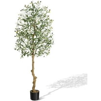 6FT Tall Olive Trees Artificial Indoor, Faux Olive Tree with Realistic Trunk, Leaves, Fruits for Home Office Decor