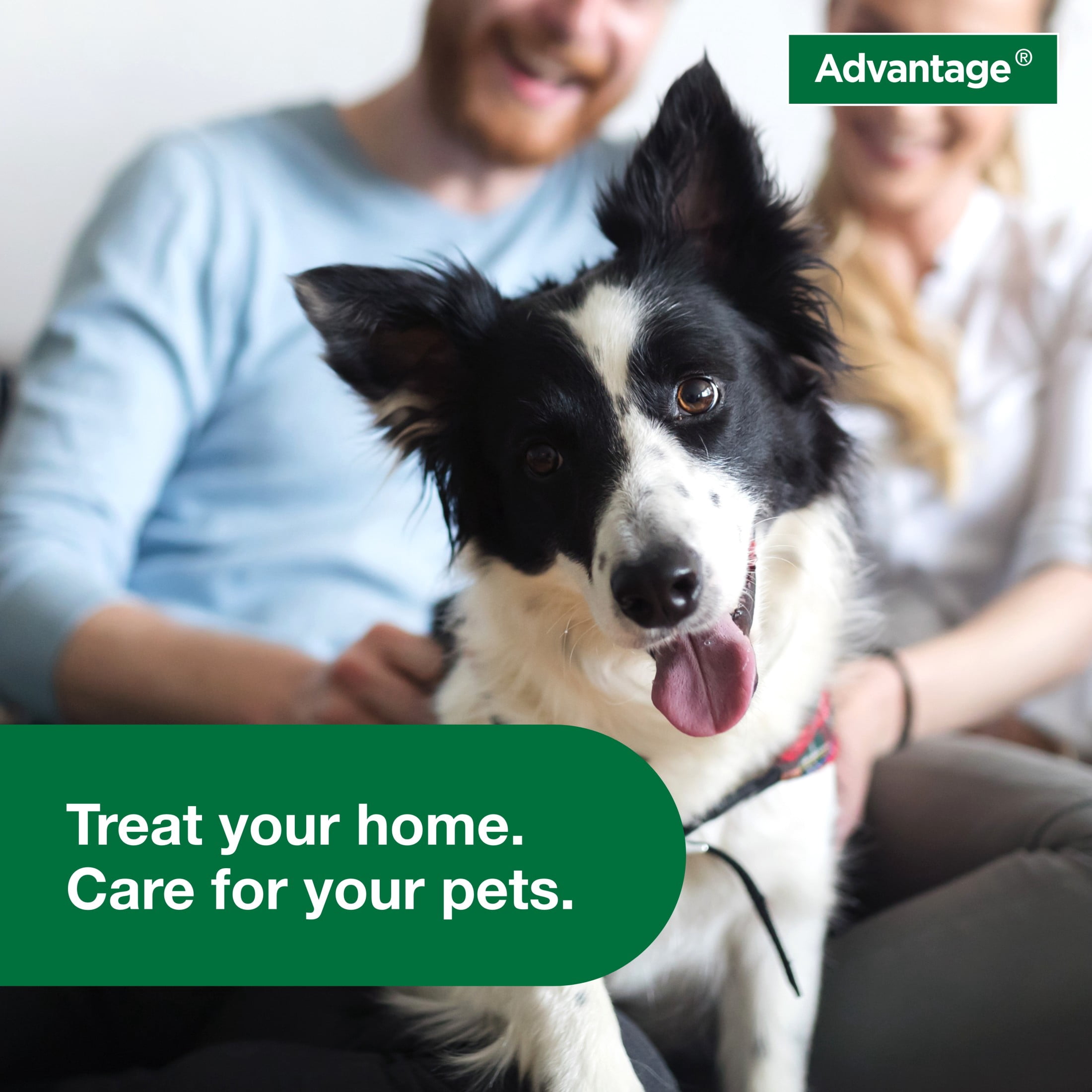 Advantage Household Fogger, Kills Fleas & Ticks, Flea Fogger for Home, 2 oz. (Pack of 3)