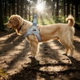 thumbnail image 4 of Pet No Pull Dog Harness with Breathable Mesh Padded, Adjustable Reflective Escape Proof Dog Harness, Quick Fit Dog Vest Harness for Small Medium Large Dogs, 4 of 9