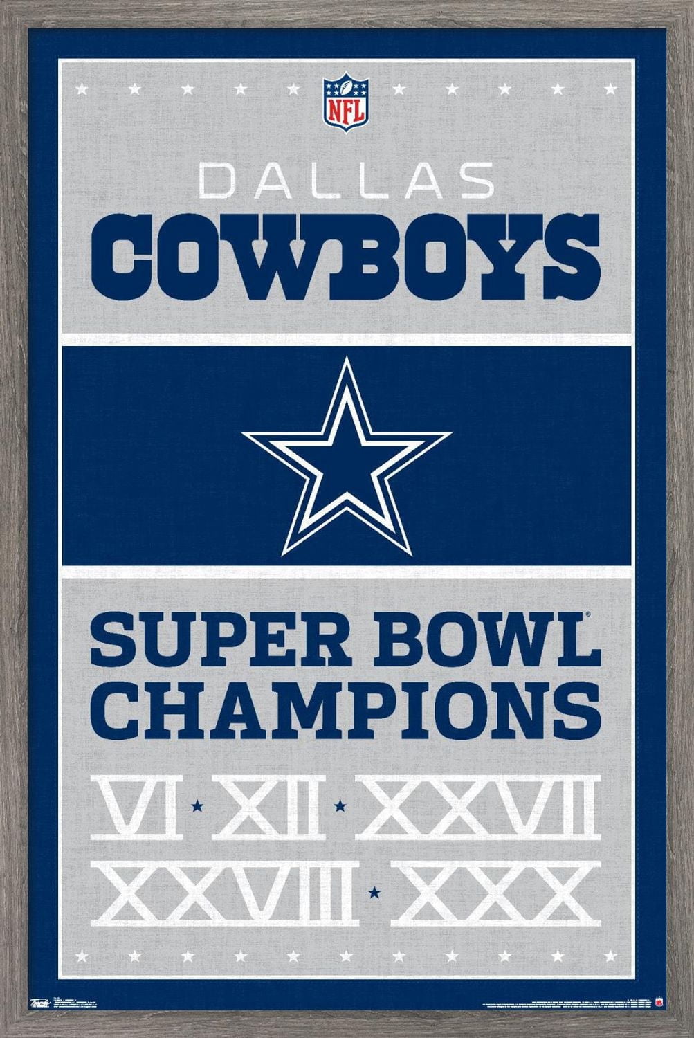 NFL Dallas Cowboys - Champions 13 Wall Poster