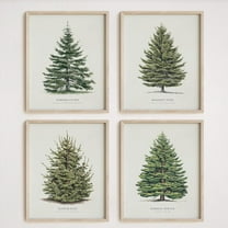 Hieng 4Pcs Vintage Christmas Tree Wall Art, Artful 4 Pine Tree Botanical Prints, Winter Wall Decor Unframed