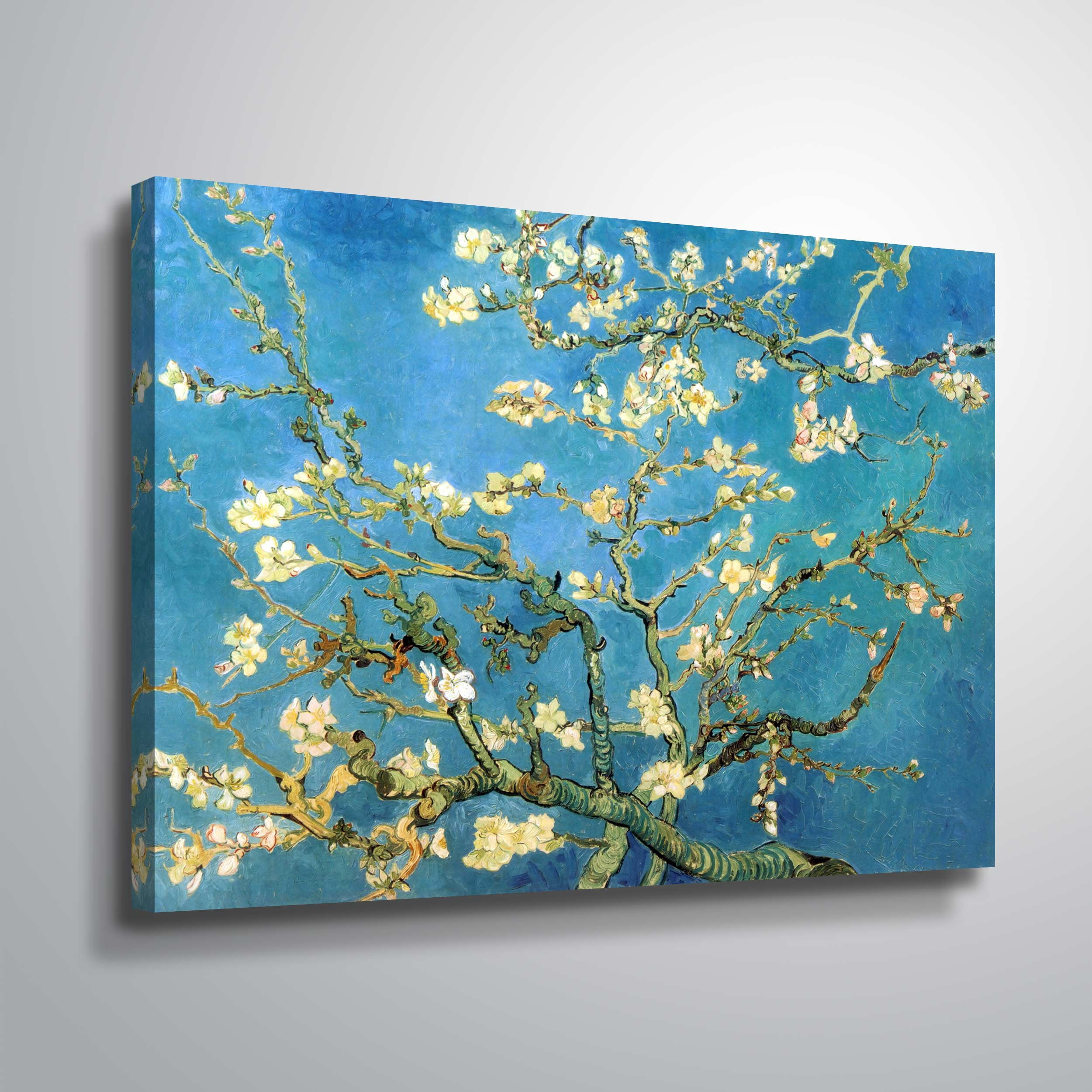 ArtWall Vincent van Gogh "Blossoming Almond Tree" Wrapped Canvas
