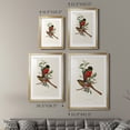 thumbnail image 4 of Wexford Home Elegant Trogons I Premium Framed Print, 30.5" x 42.5" - Ready to Hang, Gold (Set of 2), 4 of 9