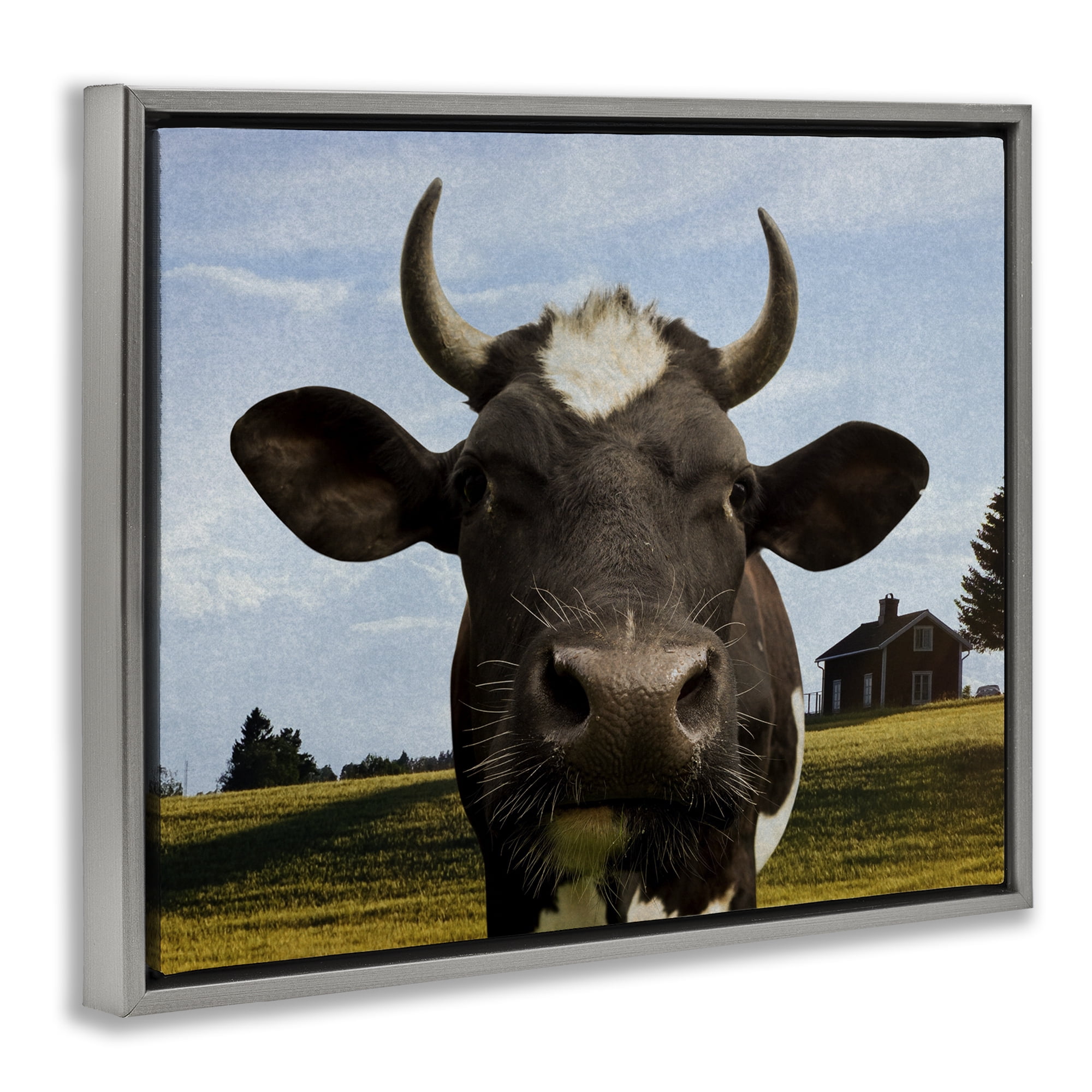 Stupell Industries Farm Cow with Curved Horns Gray Framed Floater Canvas Wall Art, design by Marcus Prime