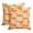 E, variant on Sm:)e Pencil Drawing Pumpkin Orange Fall Throw Pillow Cover 18x18 Inch Set of 2, Autumn Decorative Outdoor Cushion Cover for Sofa Couch