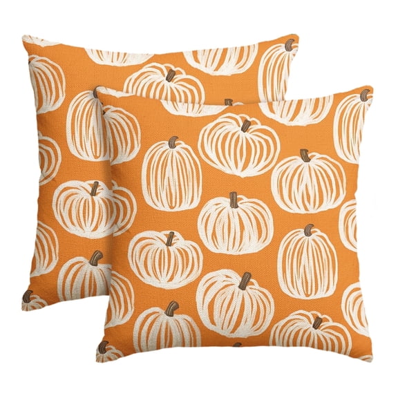 Sm:)e Pencil Drawing Pumpkin Orange Fall Throw Pillow Cover 18x18 Inch Set of 2, Autumn Decorative Outdoor Cushion Cover for Sofa Couch