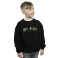 thumbnail image 2 of Harry Potter Boys Full Colour Logo Sweatshirt, 2 of 3