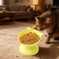 thumbnail image 5 of Outoloxit Elevated Pet Bowl for Cats and Dogs, Ergonomic Raised Feeder with Non-Slip Base for Spine Care, Food and Water Dish, 5 of 8