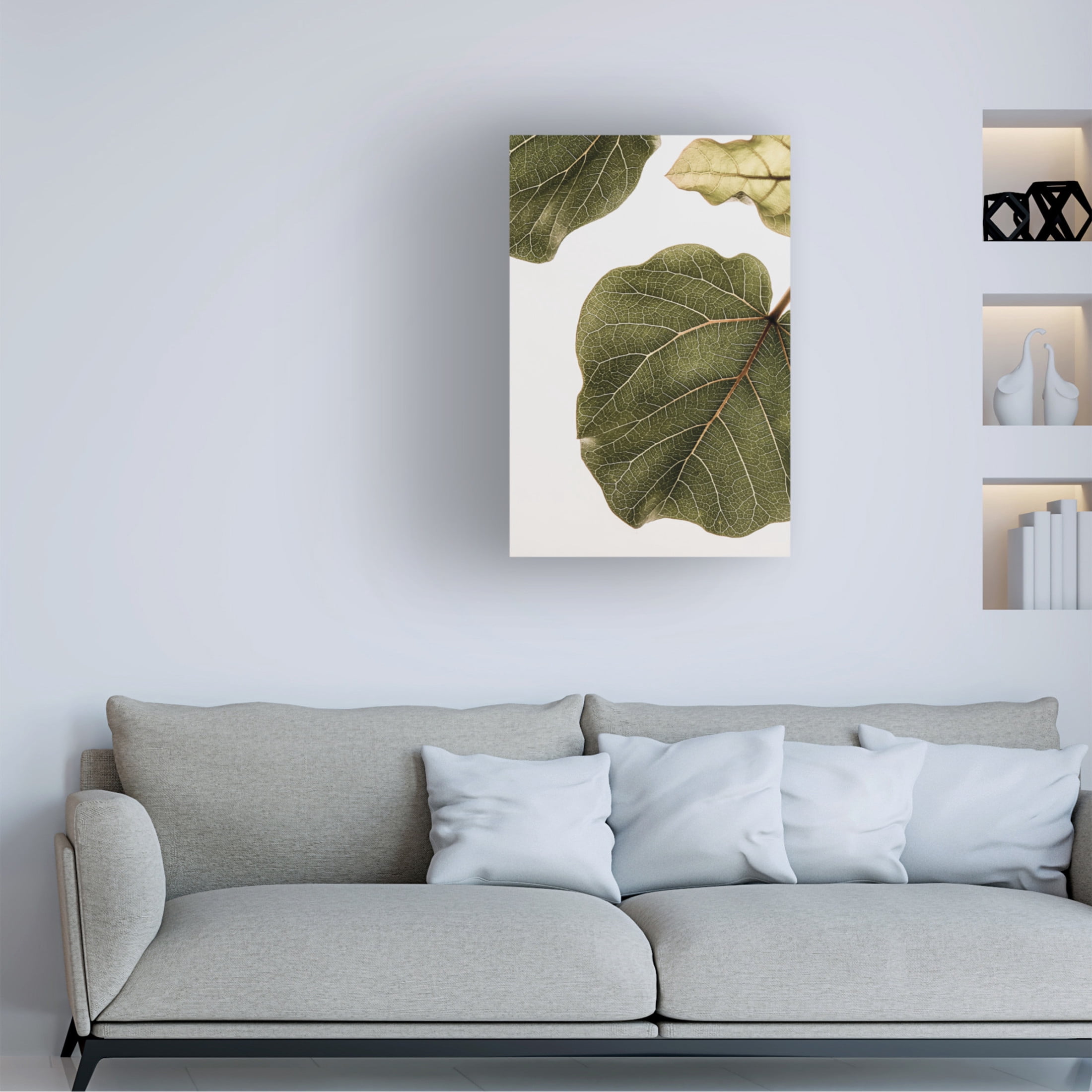 Trademark Fine Art Shot by Clint Abutifolia No2 Canvas Wall Art