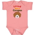 thumbnail image 3 of Inktastic Cavapoo Dog Gift Boys or Girls Baby Bodysuit, 3 of 5
