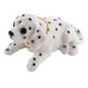 thumbnail image 2 of Adornos para coche con forma de cabeza de perro que se mueven, decoración para el salpicadero del coche, accesorios para el interior del coche. Estilo B, 2 of 9