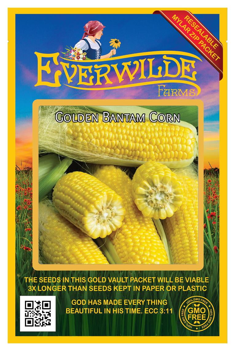 Everwilde Farms - 100 Reids Yellow Dent Corn Seeds - Gold Vault