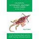 thumbnail image 1 of Tarjetas Didácticas Saunders de Anatomía Veterinaria, 1 of 1