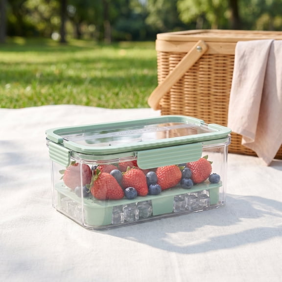 Ice Chilled Snackle Box with Ice Pack – Portable Food Container for Fruits & Veggies, Airtight Cooler Tray, 9.45 in×5.91 in×4.53 in