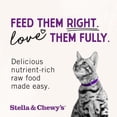 thumbnail image 4 of Stella & Chewy's Freeze-Dried Morsels for Cats - Chick, Chick, Chicken - 8 Ounce Bag, 4 of 15