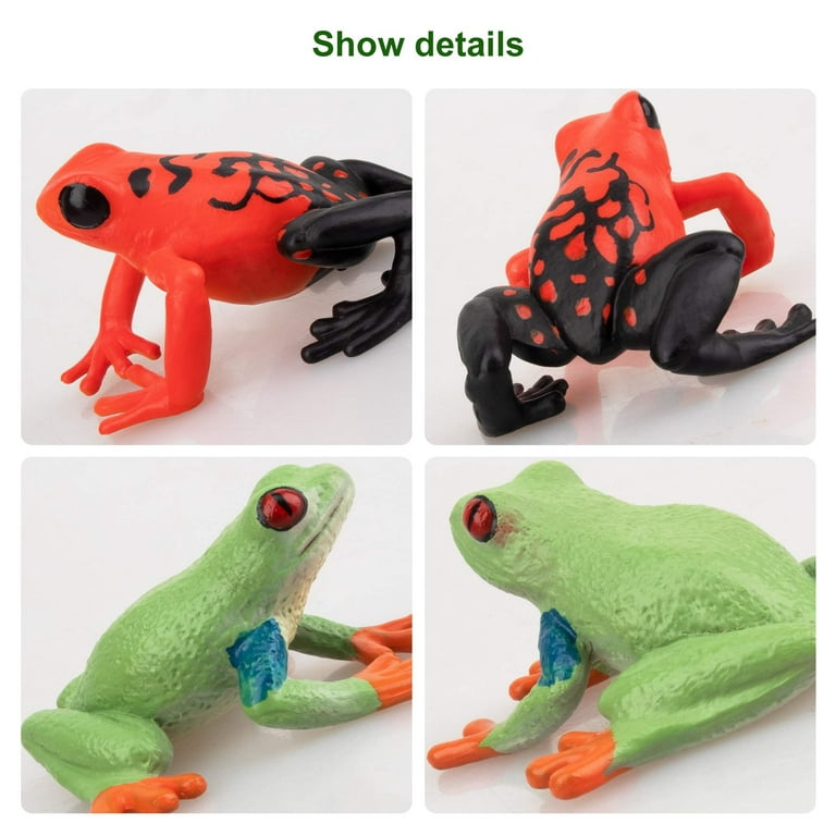 TOYMANY Frog Toy Figures Forest Animal Figurines, 10PCS Plastic Rubber –  ToysCentral - Europe