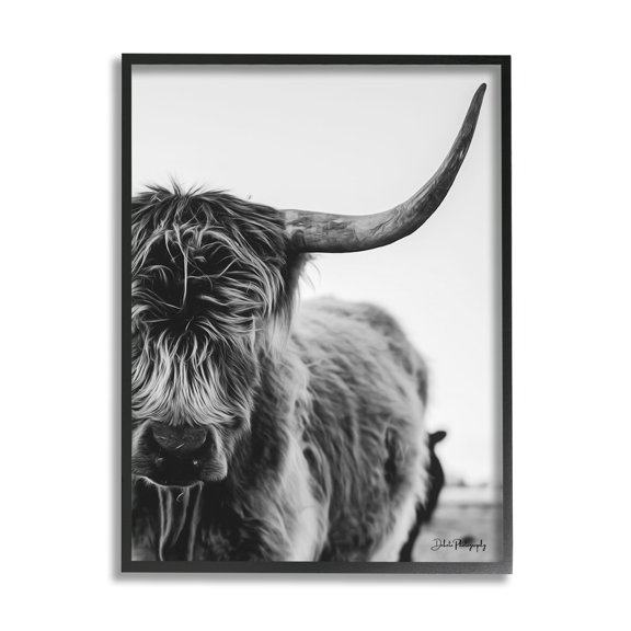 Stupell Industries Highland Cow Cattle Horn Close Up Serene Photography Photograph Black Framed Art Print Wall Art, Design by Dakota Diener