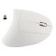 thumbnail image 1 of Ratón vertical ergonómico inalámbrico para juegos, óptico, 2,4 GHz, 1600DPI, sin retraso, para PC, portátil, blanco, 1 of 8