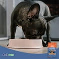 thumbnail image 6 of CANIDAE PURE PETITE SMALL BREED PUPPY FOOD, 6 of 6