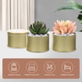 thumbnail image 4 of VERDANVERSE 6Ud Maceta De Hojalata Resistente Para Plantas Interiores Y Exteriores Con Tapa, 4 of 6