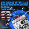 thumbnail image 2 of Gomitas de monohidrato de creatina Nature's Aid (5 g): Energía preentrenamiento y apoyo para el crecimiento muscular para hombres y mujeres | Gomitas de electrolitos de arándano (135 unidades), 2 of 5
