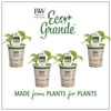 4-Pack, 4.25 in. Eco+Grande, Muncher (Cucumber) Live Vegetable Plant